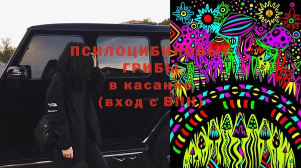 мяу мяу мука Вяземский