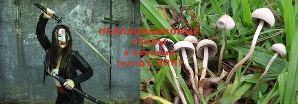 ешки Вязники