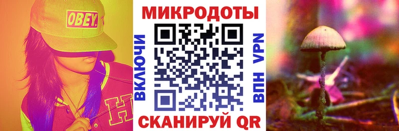закладка  Иваново  Галлюциногенные грибы мухоморы 